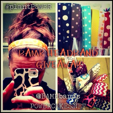 377723_315336971903080_1437255967_n