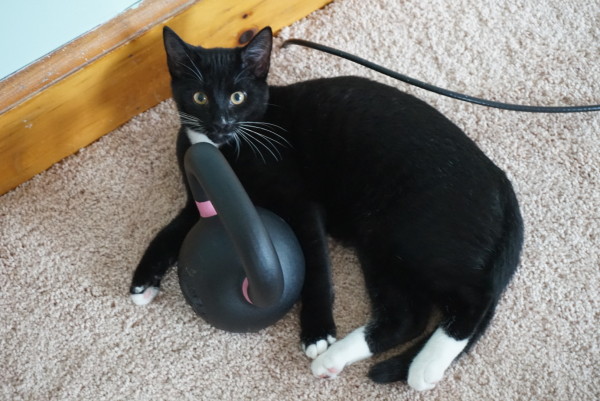 1ba564da-3792-4396-be8b-7ad946f3c909