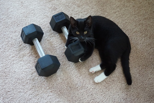 90a43e7e-1ecd-423d-b66a-89c64dd9b080