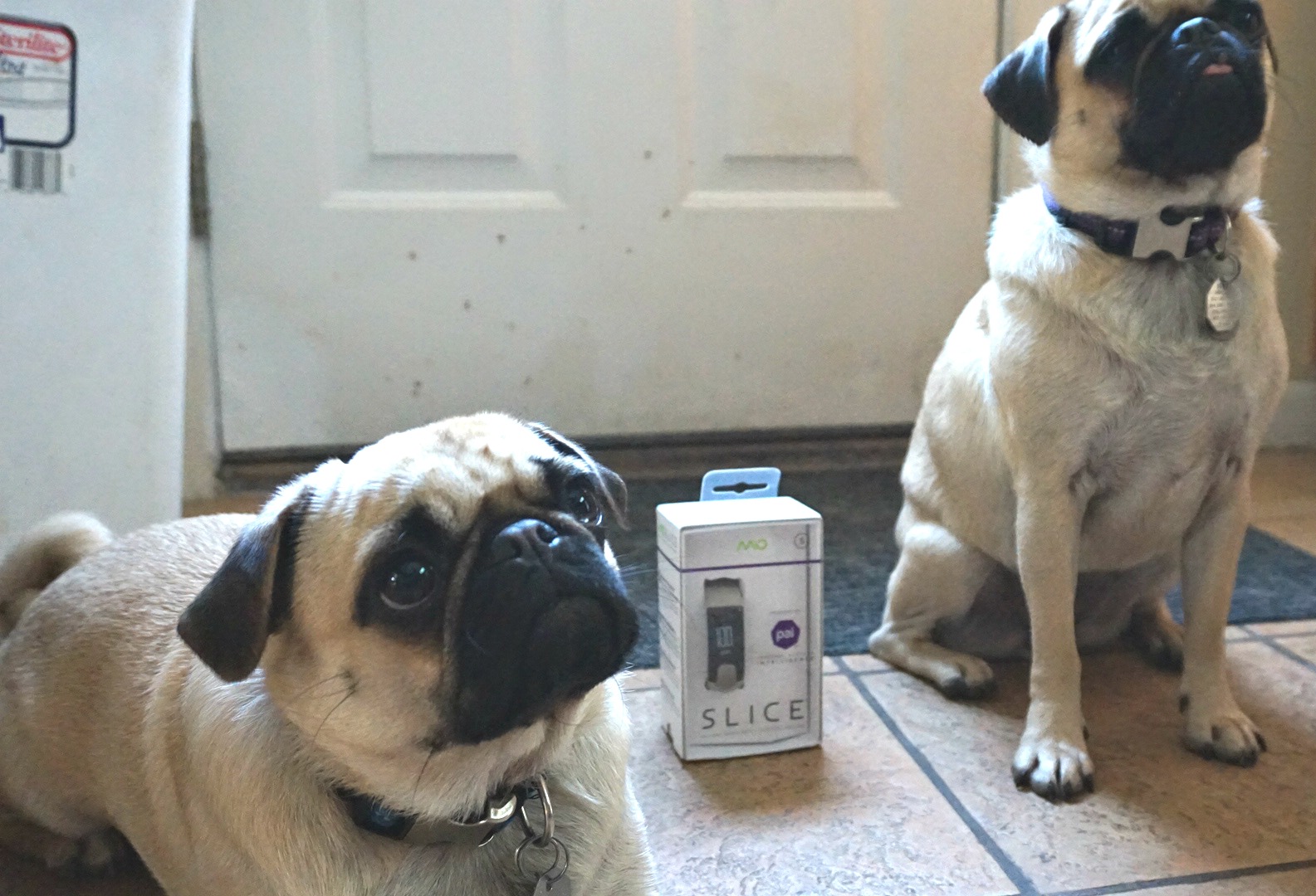 DBD33C94-2E99-49AB-9EAB-FAE5E2A86450