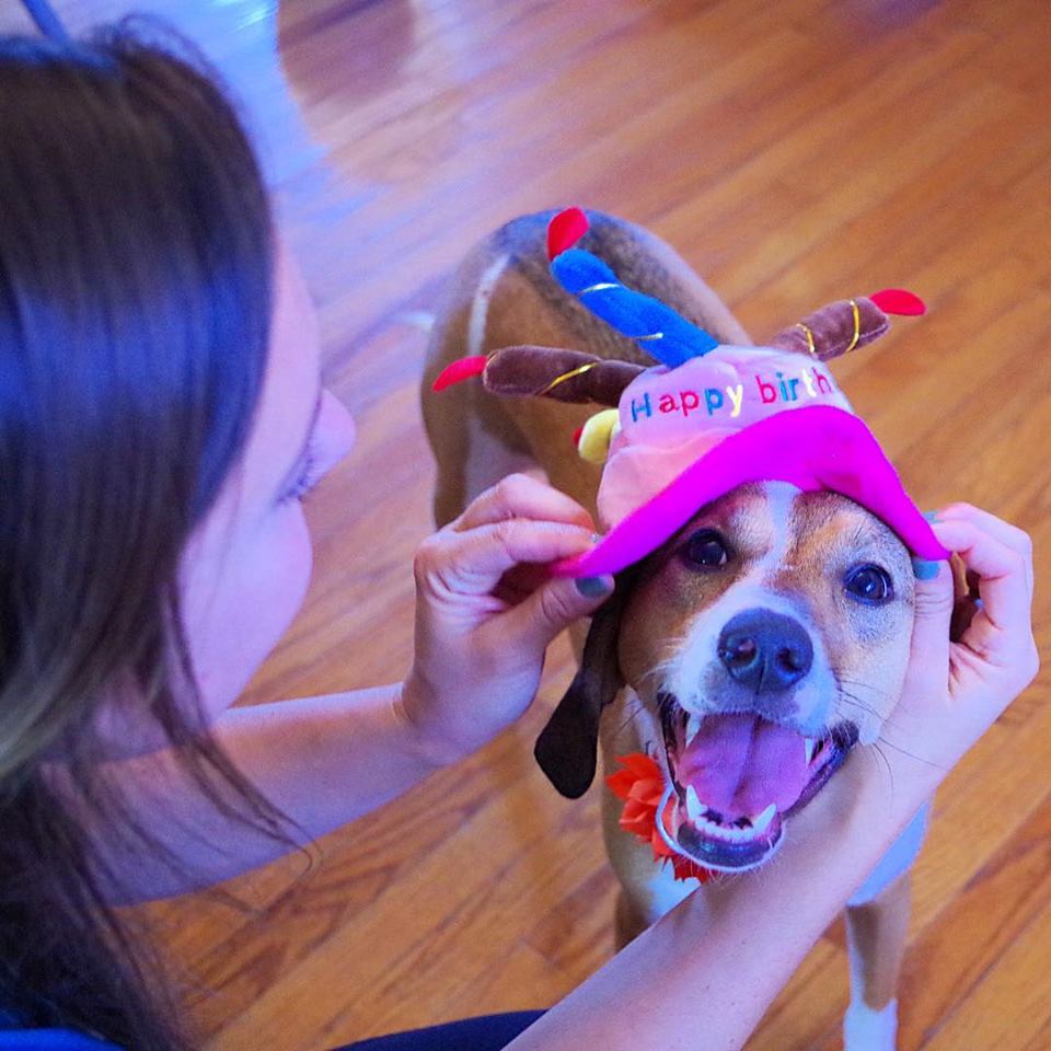 45271537_1470997446337021_7985591964277932032_n