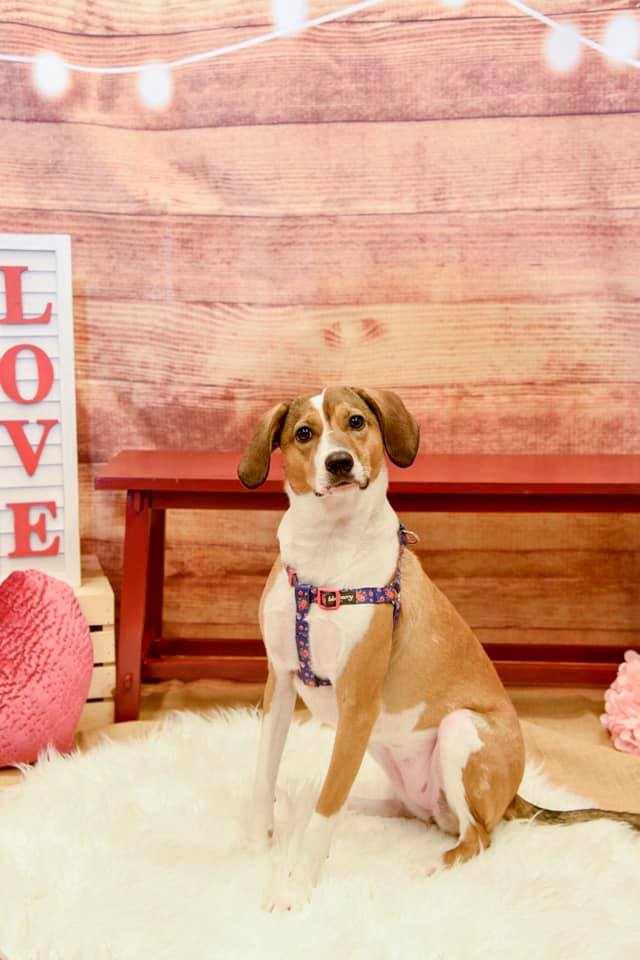 51818591_10156658474965342_6389069950824218624_n