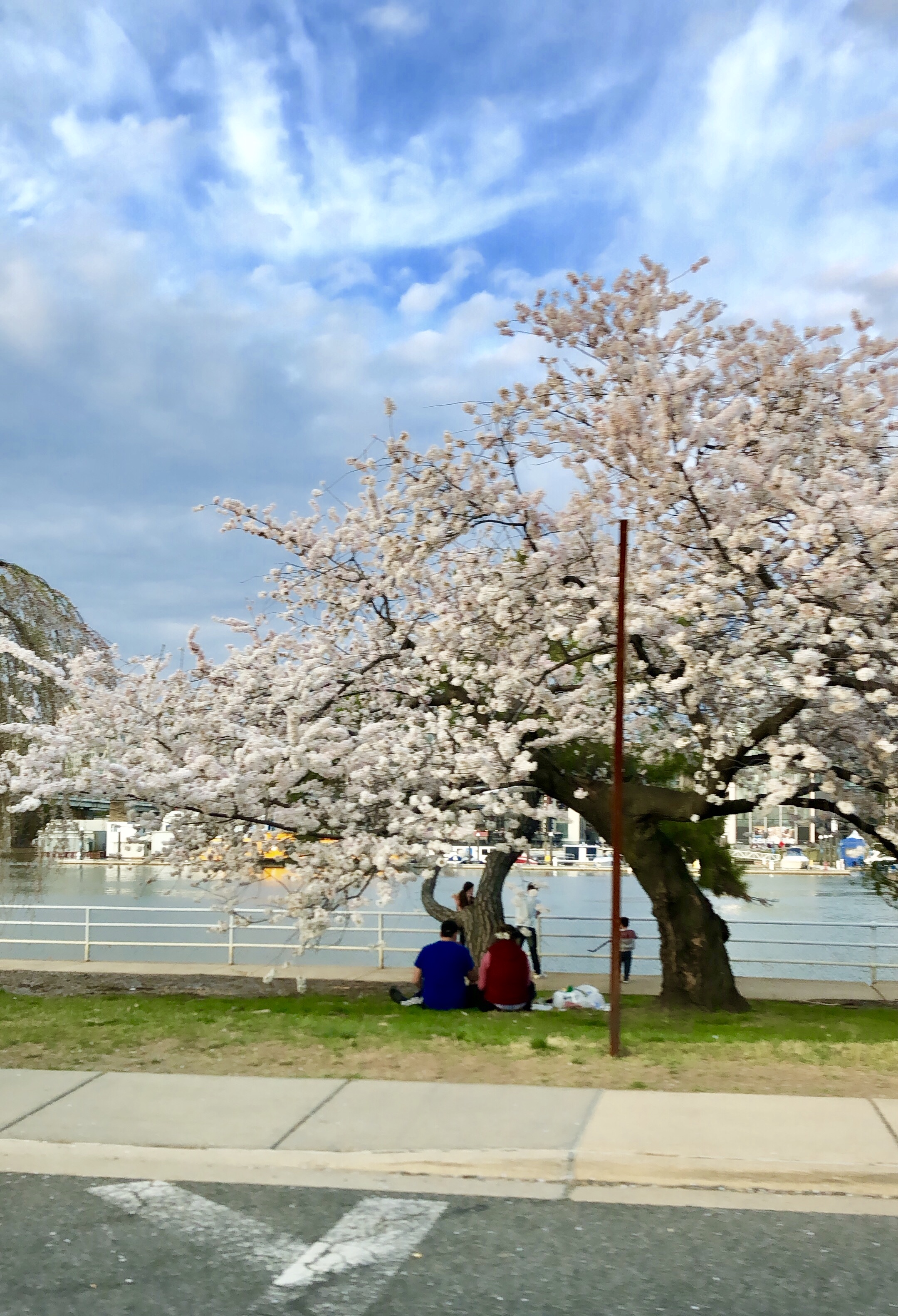 BA1A1A16-9924-43E0-984E-519469CCC7B5