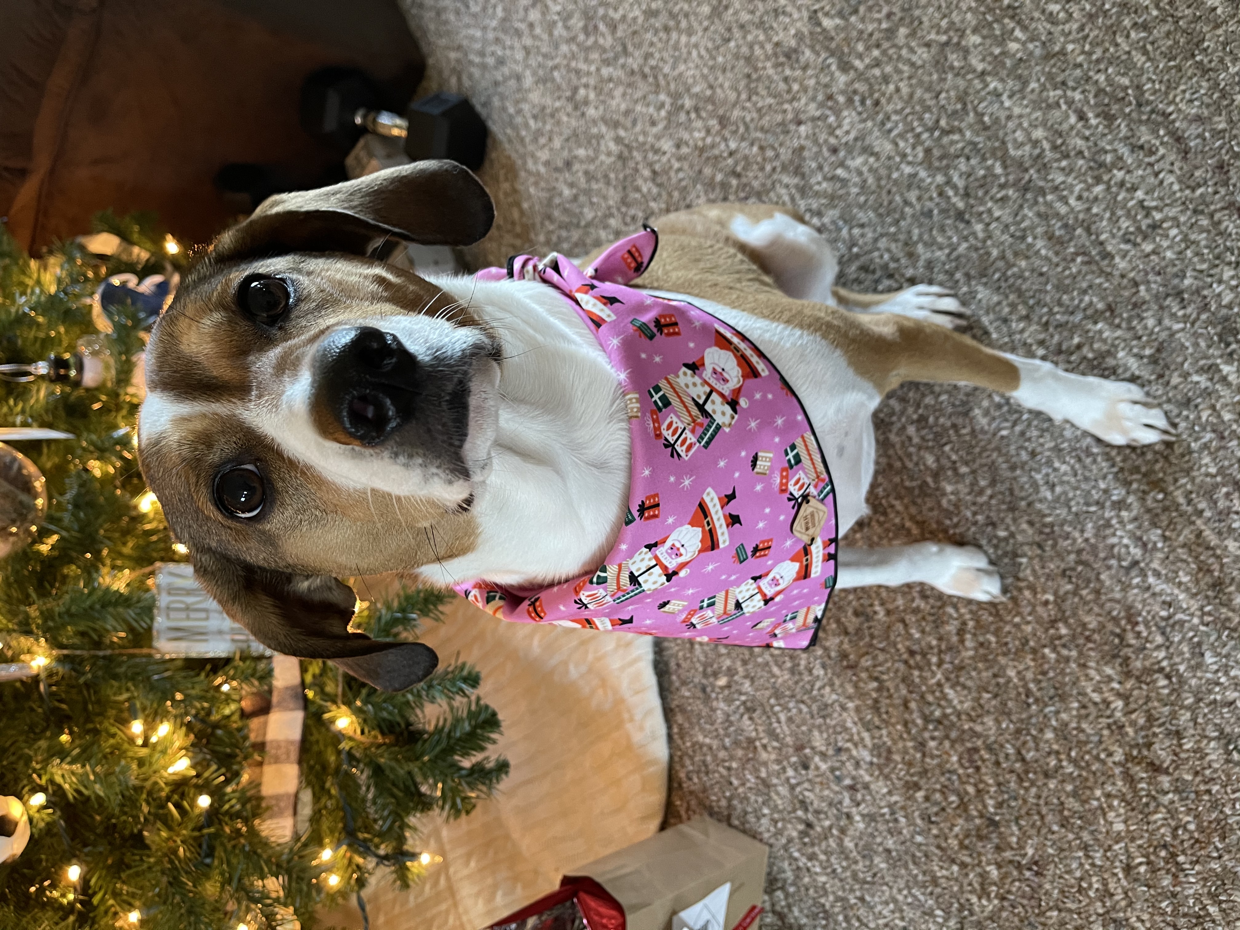 D8585553-7036-4625-9549-4E7436874B91