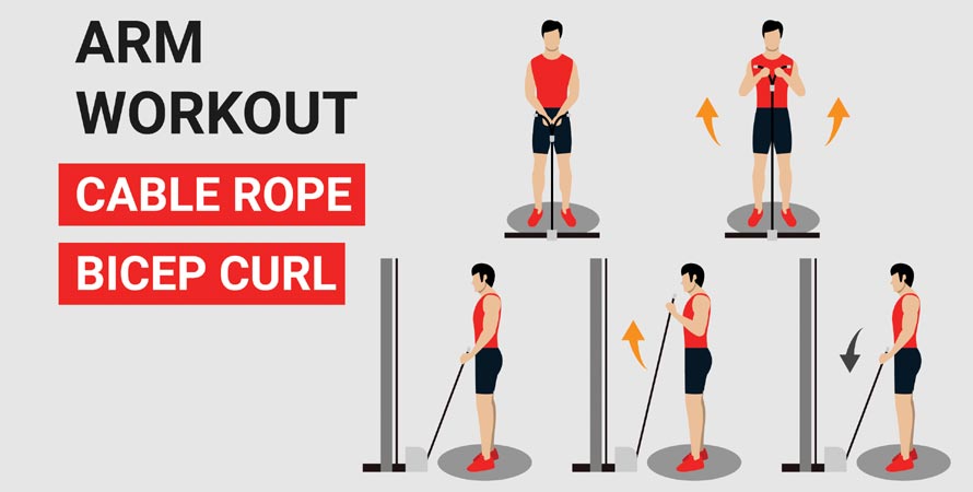 Cable hammer curls
