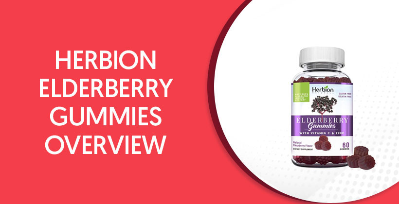 Herbion Elderberry Gummies
