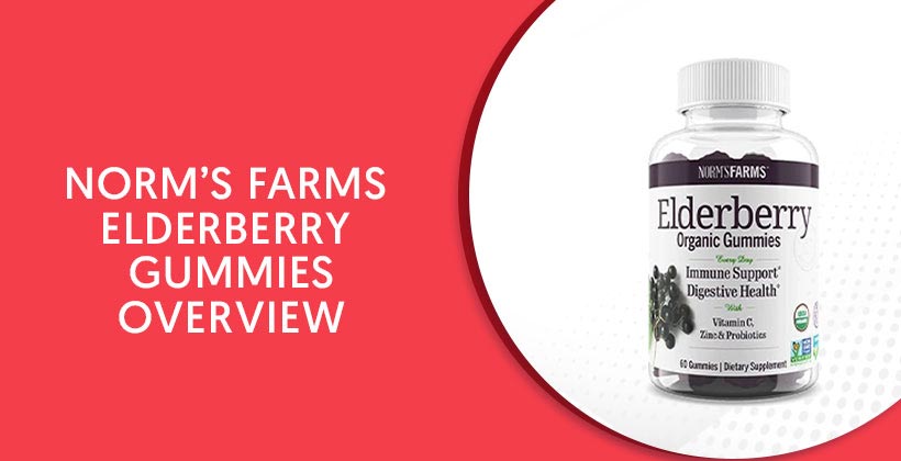 Norm's Farms Elderberry Gummies