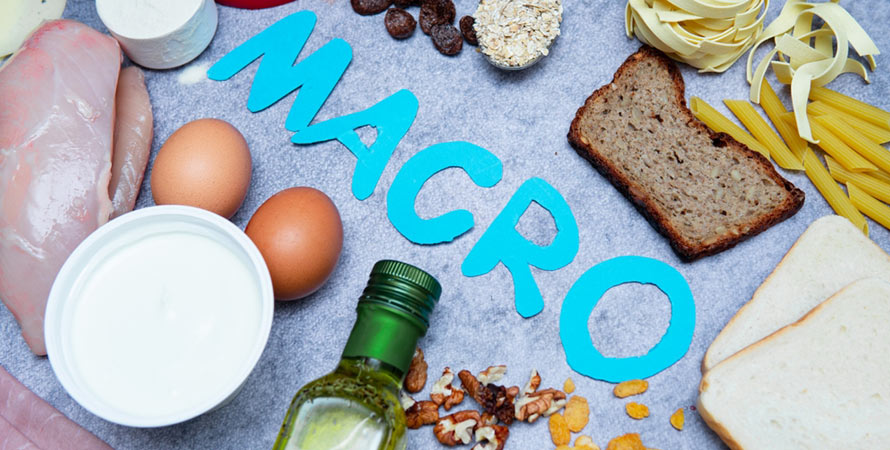 Macros fats sources