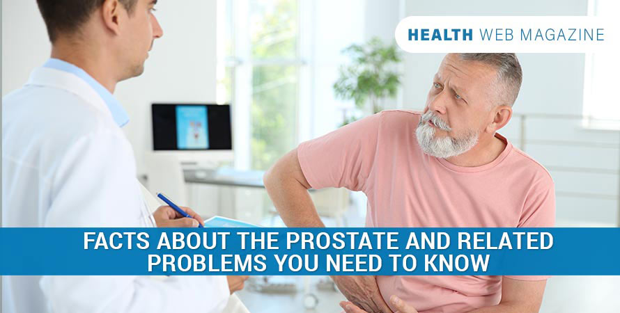 Normal Prostate Size