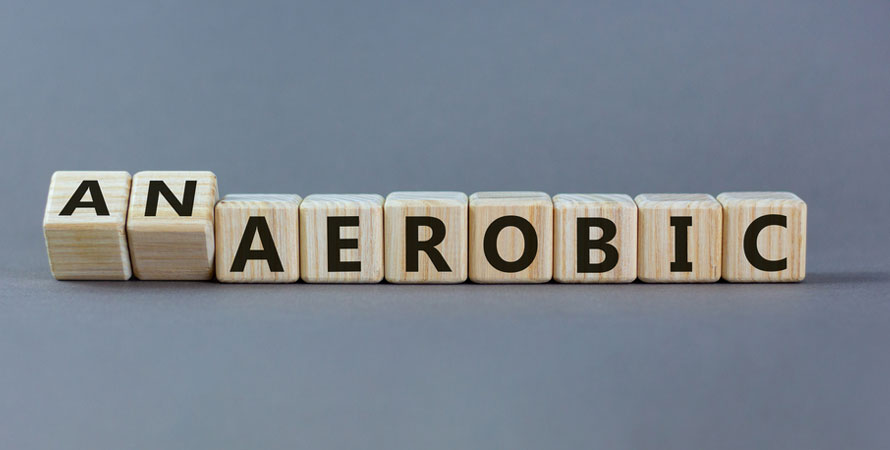 Aerobic Exercise