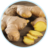 Ginger Root