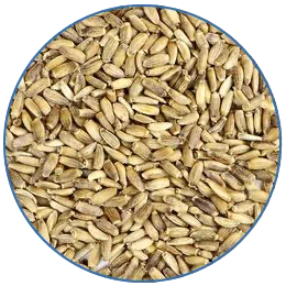 Milk Thistle Seed (80% extract)