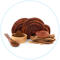 Mushroom Blend