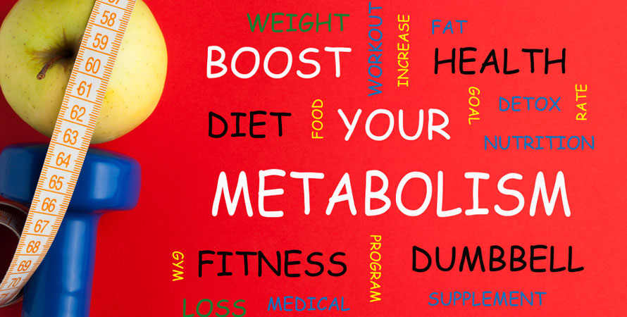 Factors affect metabolism