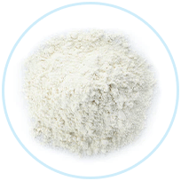 Lipase