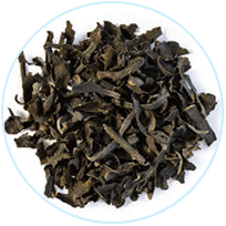 Bladderwrack