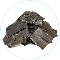 Kelp