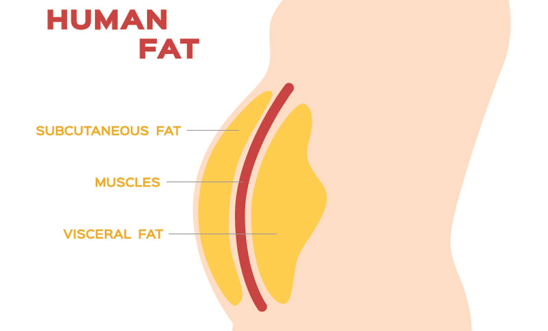 Skinny Fat