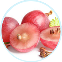 Grape Extract