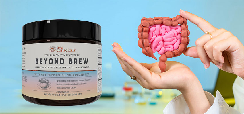 Beyond Brew