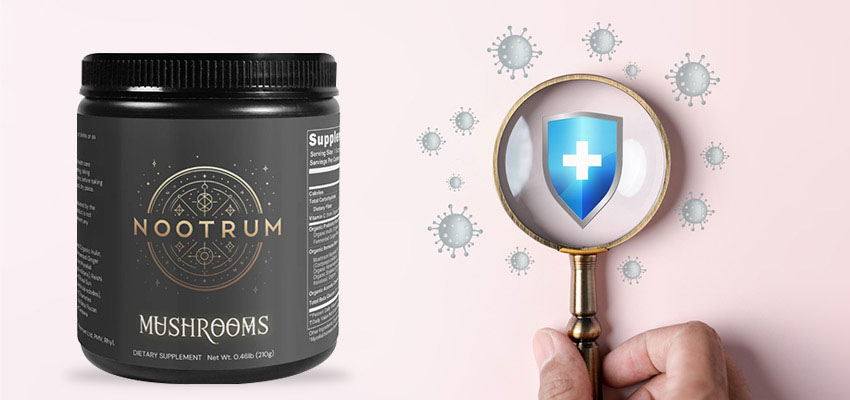 Nootrum Mushrooms