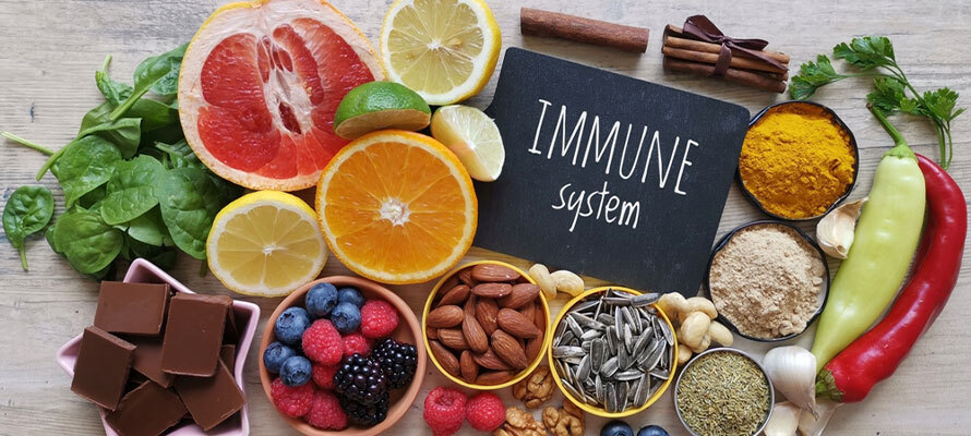 Immune System