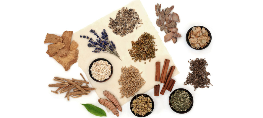 Natural herbs for stress relief displayed with dried botanicals and herbal tea