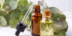 Eucalyptus Leaves Essential Oil