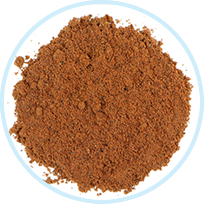 Clovevine