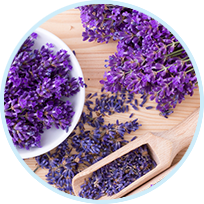 Lavender