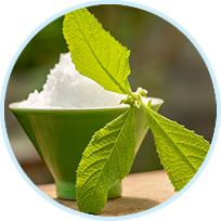 Camphor
