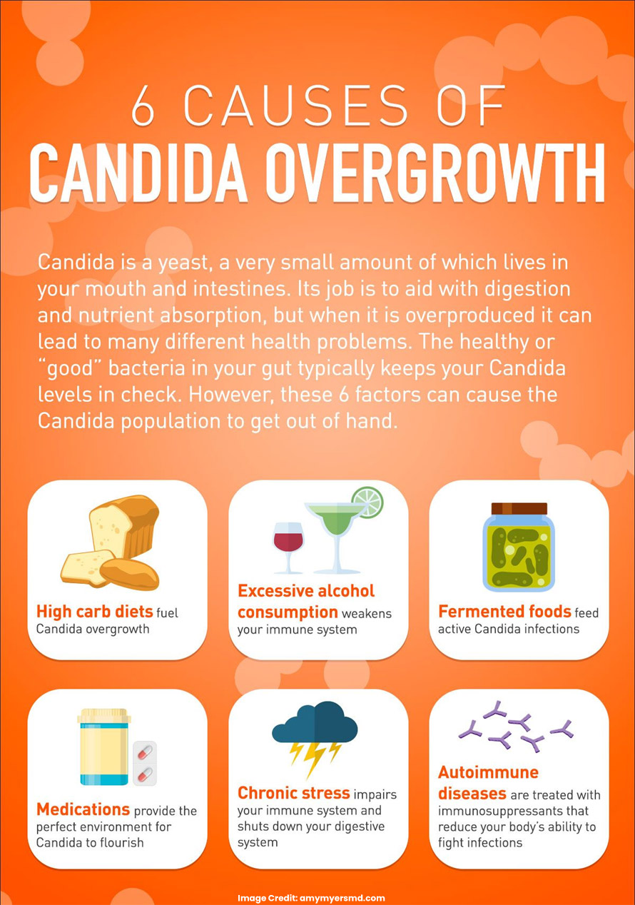 candida overgrowth common factors