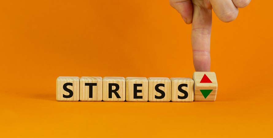 Decrease Your Stress Levels