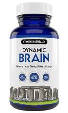Dynamic Brain