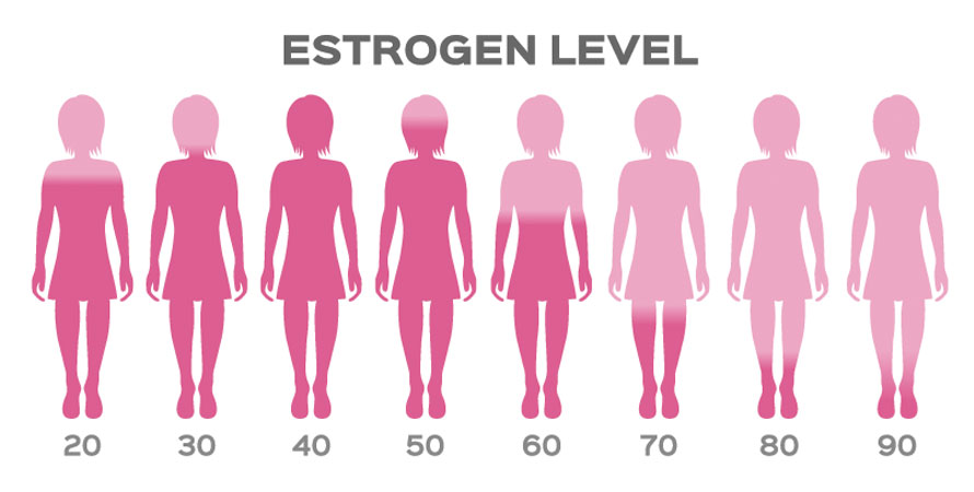 Estrogen level