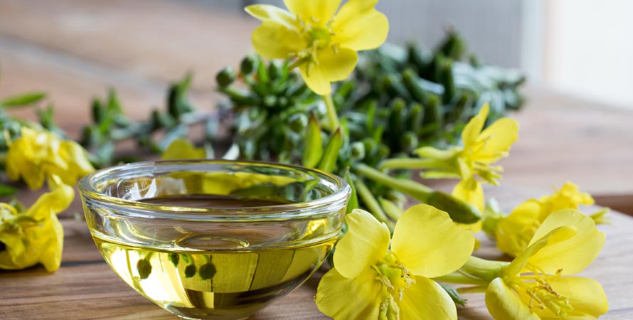 Evening Primrose Essential Oil