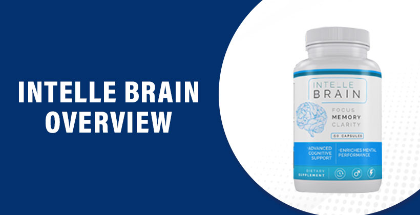 Intelle Brain