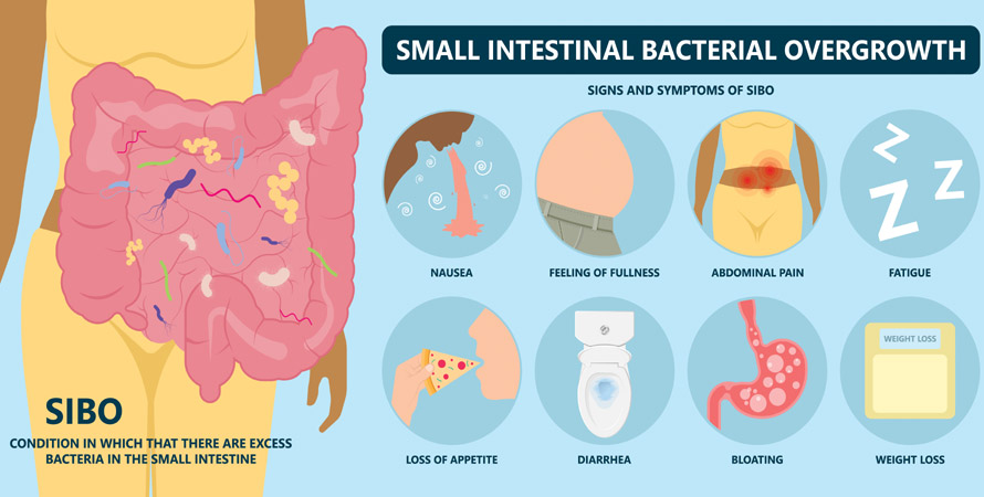 Intestine Bacteria