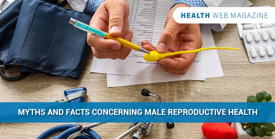 Myths and Facts Concerning Male Reproductive Health