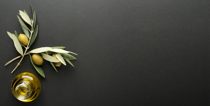 olive oil branch
