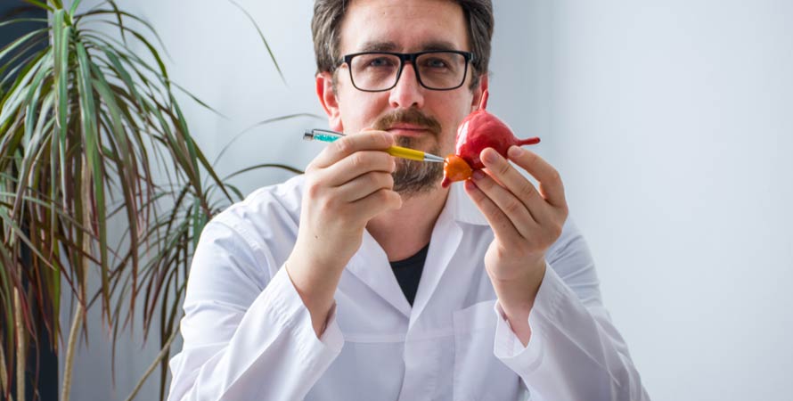 Prostate Growth Occur