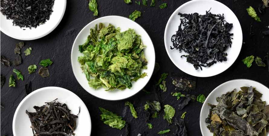 Various Sea Vegetables
