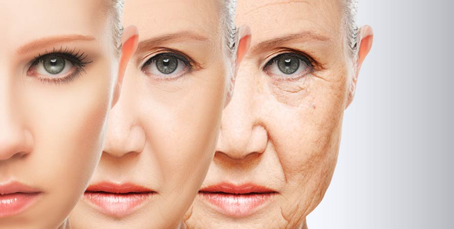 skin aging causes