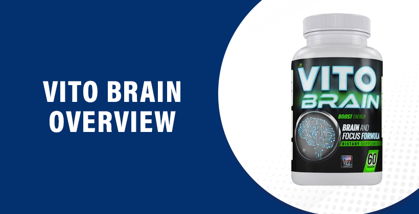vito-brain